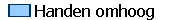  Handen omhoog